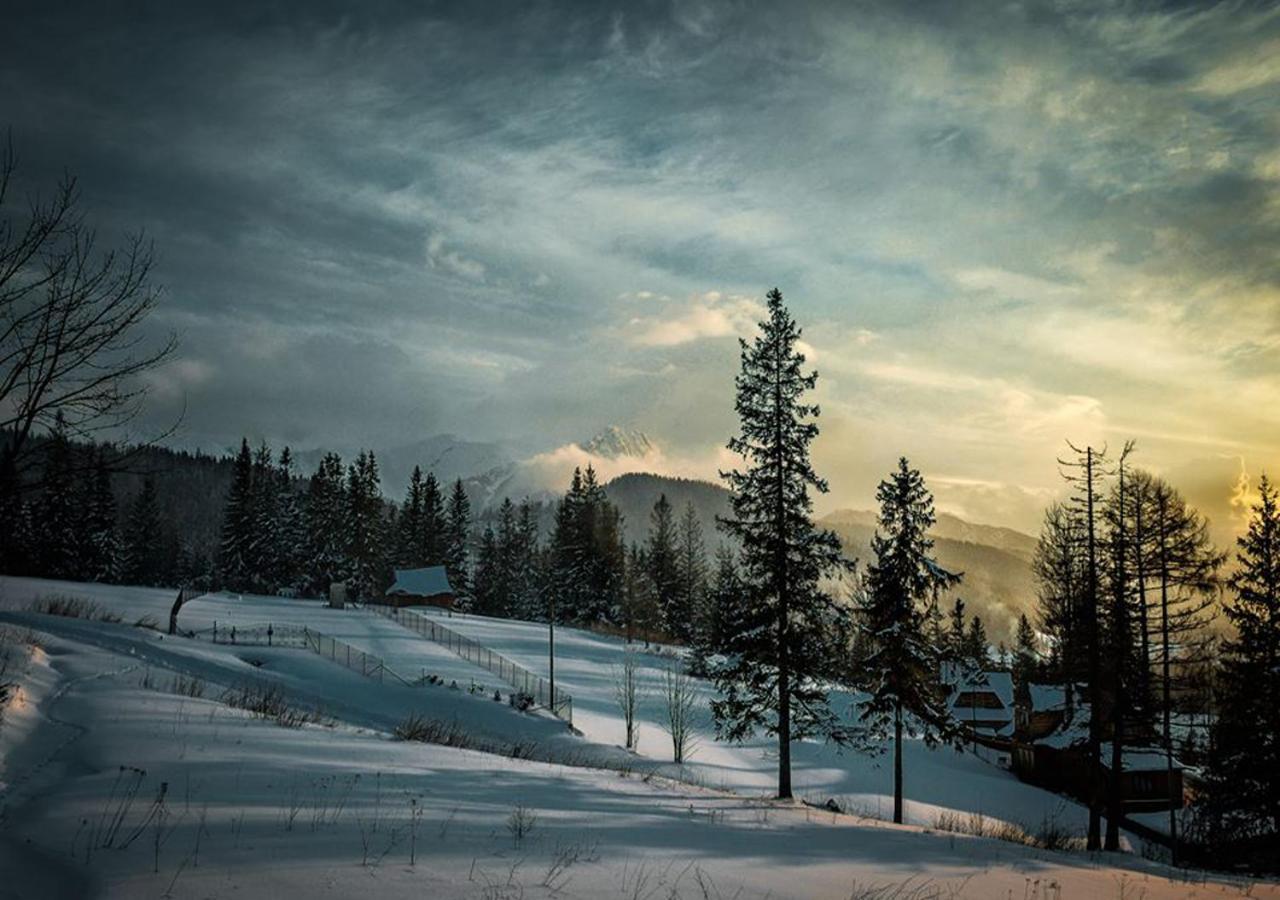 Apartamenty Toporowa Cyrhla Zakopane Esterno foto